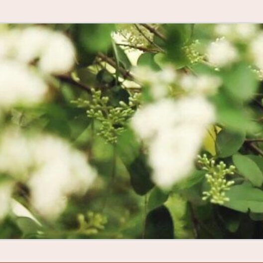 Kohtumisõhtu uudise pilt